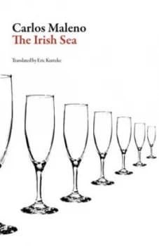 The Irish Sea by Carlos Maleno Book