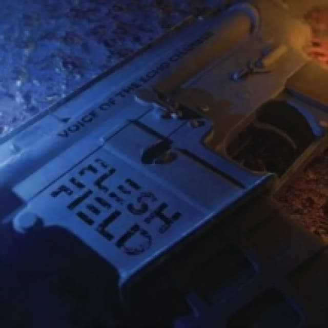 Voice of the echo chamber CD / Album