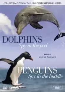 Dolphins: Spy in the Pod/Penguins: Spy in the Huddle