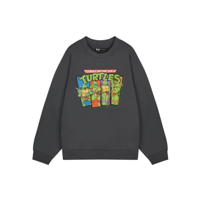 Teenage Mutant Ninja Turtles Sweatshirt Grey male