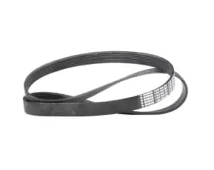 Bosch V-ribbed belt OPEL,RENAULT,IVECO 1 987 948 397 504000413,95517887,95517887