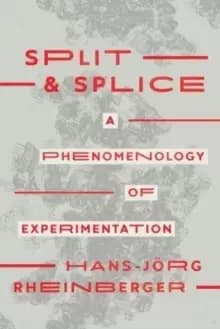 Split and Splice : A Phenomenology of Experimentation