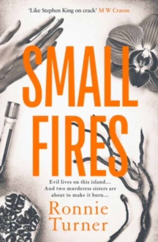 Small Fires : This year's most unsettling, hypnotic contemporary gothic thriller Paperback / softback