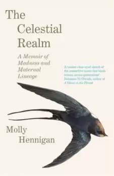 The celestial realm - Molly Hennigan - Hardback - Used