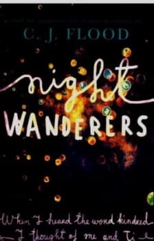 Night Wanderers by C. J. Flood Paperback