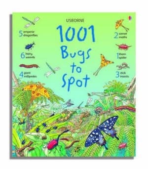 1001 Bugs to Spot by Emma Helbrough and Teri Gower and Anna Milbourne and Margaret Rostron and John Rostron Paperback
