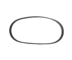 RIDEX V-ribbed belt 305P0479 Serpentine belt,Auxiliary belt TOYOTA,NISSAN,DACIA,Previa / Estima (_R1_, _R2_),MICRA II (K11)
