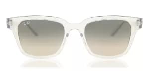 Ray-Ban Womens The Wayfarer Sunglasses - Transparent