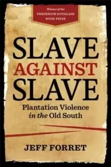 Slave Against Slave : Plantation Violence in the Old South