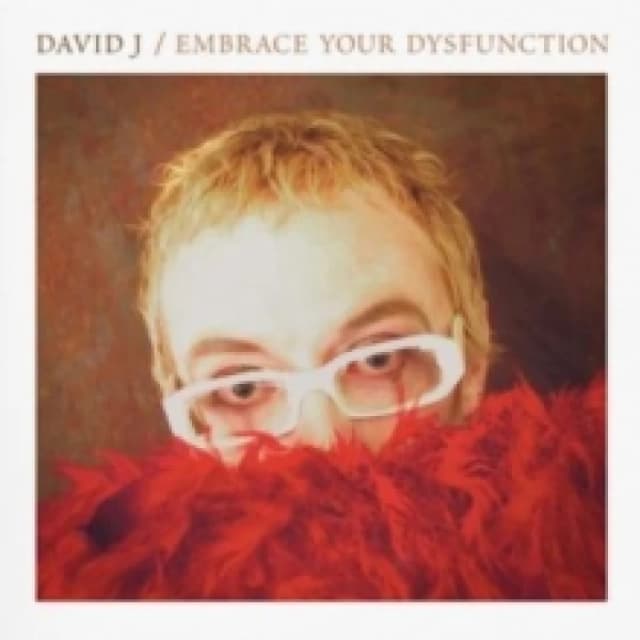 Embrace Your Dysfunction Vinyl