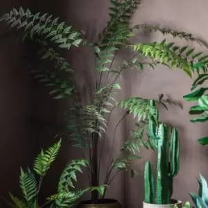 Beau Butterfly Fern Green