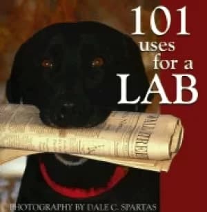 101 uses for a lab