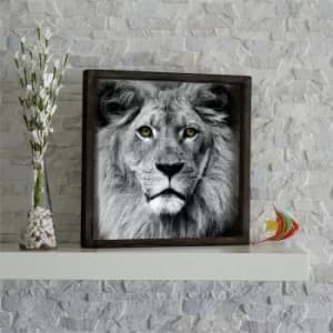 KZM515 Brown White Black Yellow Grey Decorative Framed MDF Painting