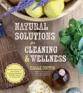 natural solutions for cleaning and wellness health remedies and green clean