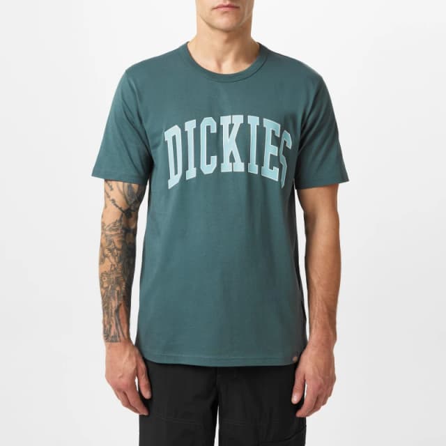 Dickies Aitkin T-Shirt - Green Green S
