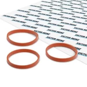 REINZ Gasket Set, intake manifold OPEL,PEUGEOT,TOYOTA 11-11551-01 1608733780,3645962,1608733780 SU00101099