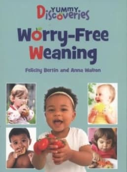 Worry-Free Weaning by Felicity Bertin Paperback