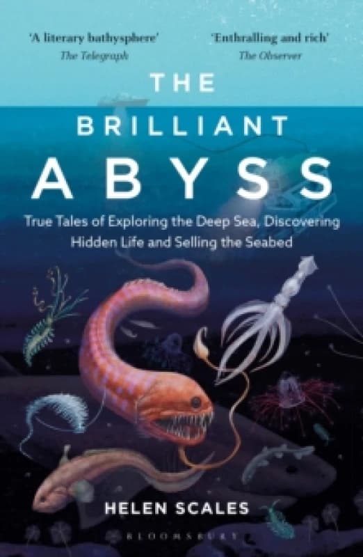 The Brilliant Abyss : True Tales of Exploring the Deep Sea, Discovering Hidden Life and Selling the Seabed Paperback / softback