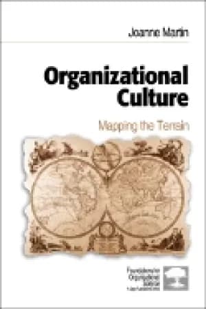 organizational culture mapping the terrain