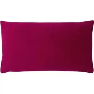 Sunningdale Velvet Rectangular Cushion Cerise