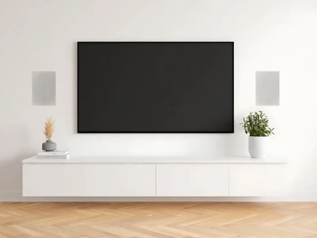 Vivolink VLSPIW60W loudspeaker