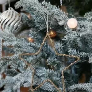 I Saw It First House Doctor Sequin Large Hanging Star Ornament - Metallics