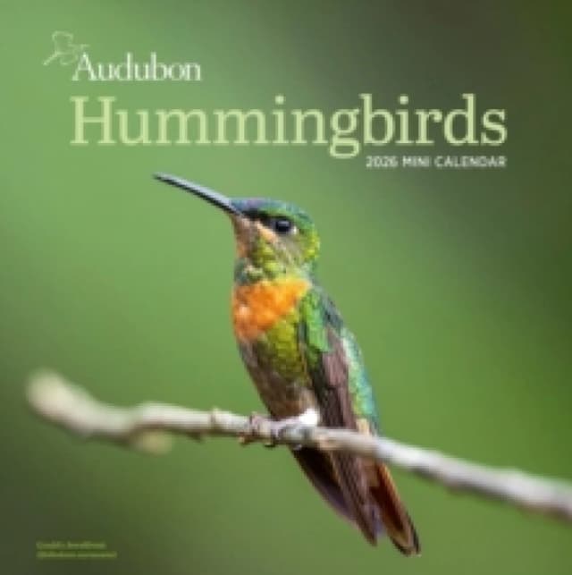 Audubon Hummingbirds Mini Wall Calendar 2026 Calendar