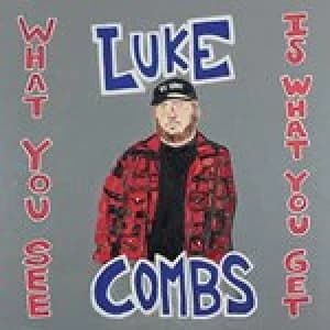 What You See Is What You Get by Luke Combs CD Album