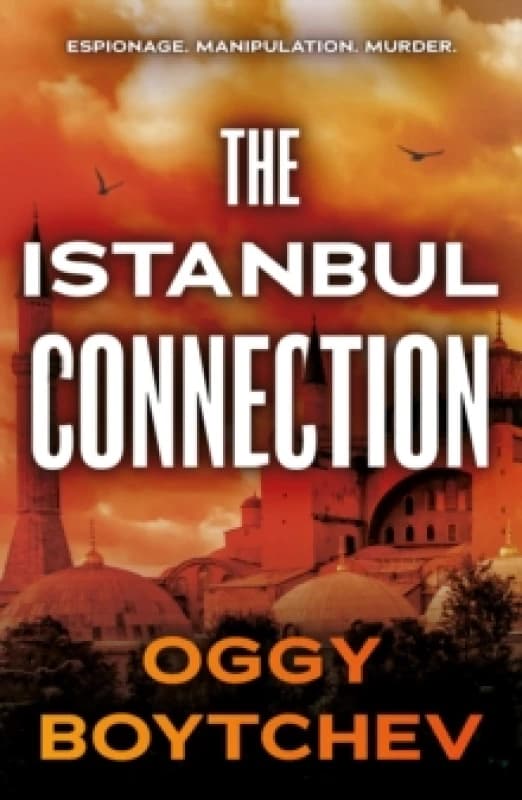 The Istanbul Connection Paperback / softback