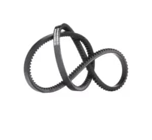 RIDEX V Belt 10C0030 Fenner Belt VW,MERCEDES-BENZ,FORD,TRANSPORTER III Bus,TRANSPORTER III Pritsche/Fahrgestell,Stufenheck (W123),G-Klasse SUV (W460)