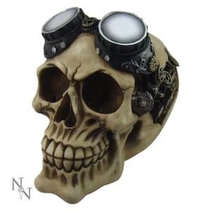 Goggles Skull