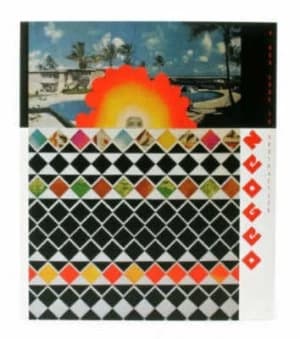 Neogeo by Robert Klanten and Sven Ehmann and Birga Meyer Paperback