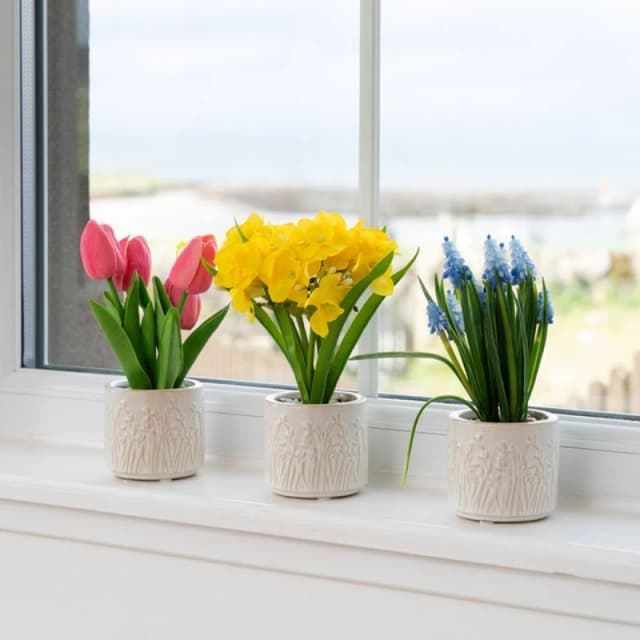 Scottish Everlastings Ltd Set of 3 Spring Pots Multicolor Unisex