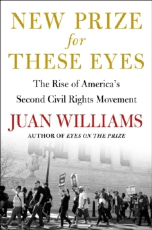 New Prize for These Eyes : The Rise of America's Second Civil Rights Movement Hardback