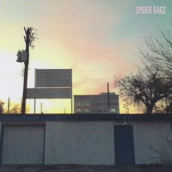 Spider Bags - Someday Everything Will Be Fine Vinyl