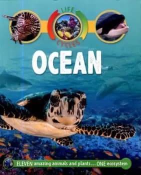 Ocean by Sean Callery