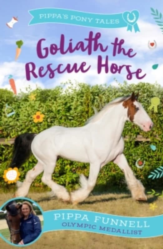 Goliath the Rescue Horse Paperback / softback