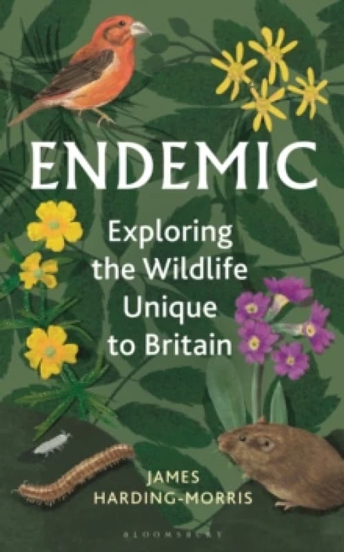 Endemic : Exploring the wildlife unique to Britain Hardback