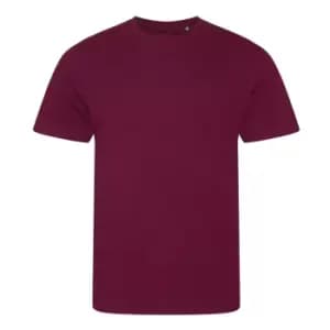 Ecologie Mens Organic Cascades T-Shirt (2XL) (Burgundy)