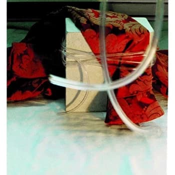 Nikki Sudden - Red Brocade CD