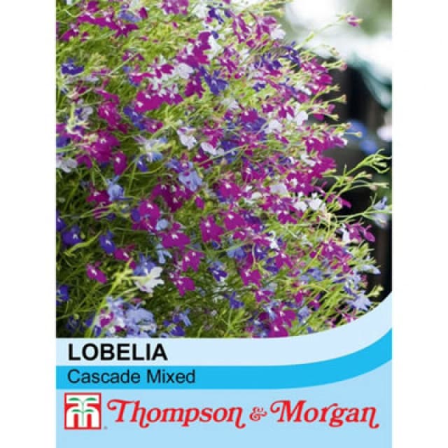 Thompson & Morgan Lobelia Cascade Mixed 1 Packet (1000 Seeds + 25% Extra Free)