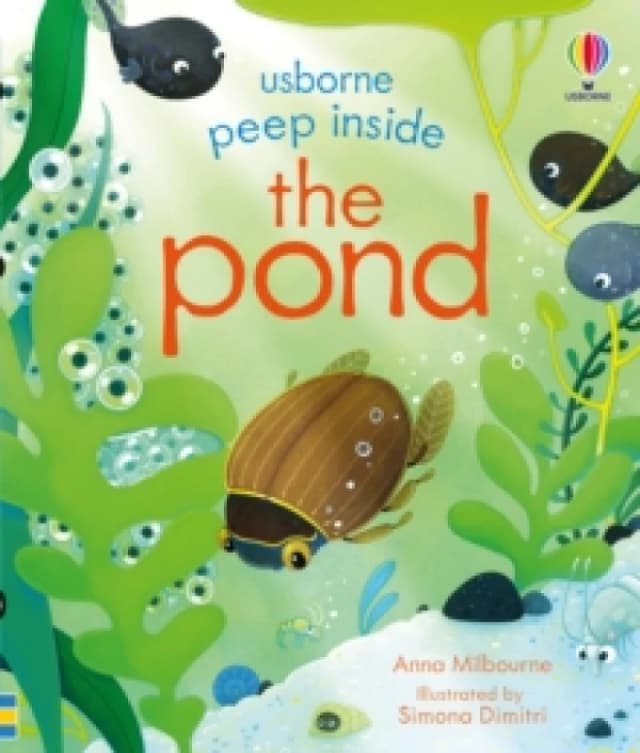 Peep Inside the Pond Board book