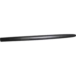 VAN WEZEL Moldings 0646423 Door Moldings,Trim-/Protection Strip, door BMW,3 Limousine (E46),3 Touring (E46)