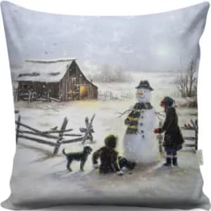 A13077 Multicolor Cushion