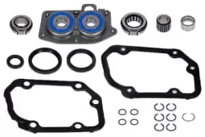 LuK Repair Set, manual transmission LuK GearBOX 462 0055 10 VW,AUDI,FORD,Golf IV Schragheck (1J1),Golf V Schragheck (1K1),POLO (9N_)