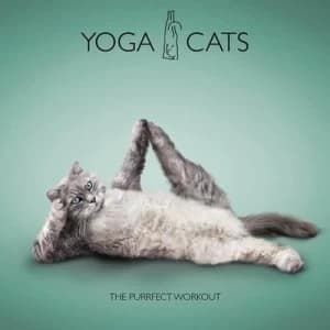 Yoga Cats by Dan Borris Hardback