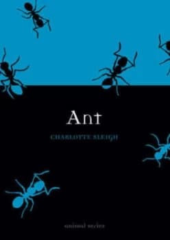 Ant by Charlotte Sleigh Book