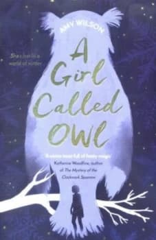 A Girl Called Owl by Amy Wilson Paperback
