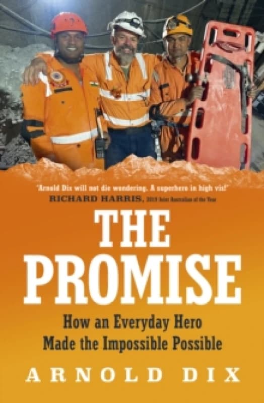 The Promise : How an everyday hero made the impossible possible Paperback / softback