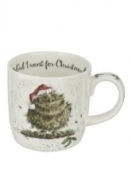 Royal Worcester Wrendale Owl I Want For Christmas Mug
